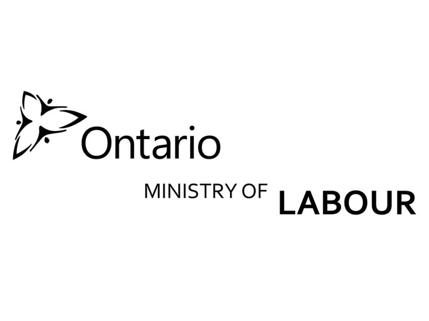 Ministry Of Labour Logo V1 Copy1